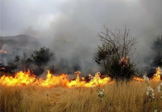 ۱۰ هکتار از مراتع منطقه حفاظت‌شده گنو در آتش سوخت