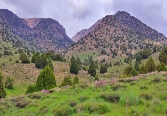 معرفی ذخیره گاه زیستکره کپه داغ (شیروان)