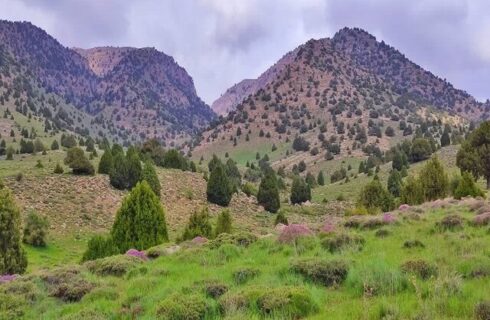معرفی ذخیره گاه زیستکره کپه داغ (شیروان)