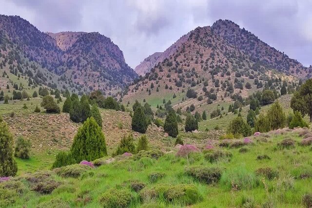 معرفی ذخیره گاه زیستکره کپه داغ (شیروان)