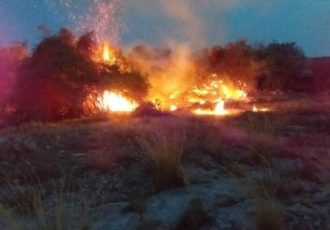 آتش به جان منطقه حفاظت شده باشگل تاکستان افتاد