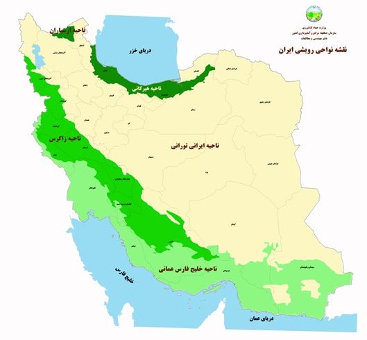 معرفی جنگل‌های ایران